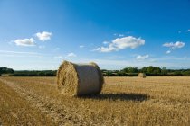 Hay bales in harvested rural field — Stock Photo