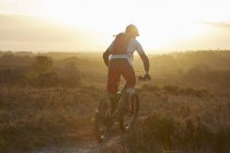 Male mountain biker riding on moorland track in sunlight — Stock Photo