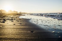 View of water's edge on beach at sunset, Riccione, Emilia-Romagna, Italy — Stock Photo