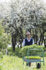 Landwirt schiebt Schubkarre mit Pflanzen auf Feld — Stockfoto