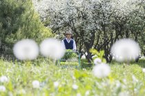 Agriculteur avec chariot de plantes dans un champ vert — Photo de stock
