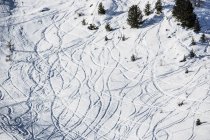Ski tracks in snowy landscape, aerial view, Gressan, Aosta Valley, Italy, Europe — Stock Photo