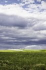 Bewässerung landwirtschaftlicher Flächen, montana, us — Stockfoto