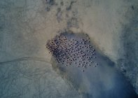 Aerial view of birds on landscape, Salar de Chalviri, Chalviri, Oruro, Bolivia, South America — Stock Photo