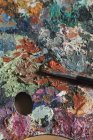 Detail of messy artist palette and paintbrush in artists studio, close up — Stock Photo