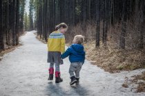 Schwester führt kleinen Bruder, Troll Falls, Canmore, Kanada — Stockfoto