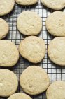 Vista superior de cookies de chocolate branco chip de refrigeração no rack — Fotografia de Stock