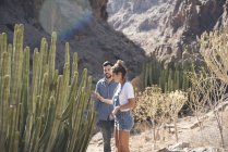 Молодая пара туристов смотрит на кактусы в долине, Лас-Пальмас, Канарские острова, Испания — стоковое фото