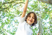 Junge klettert auf Baum — Stockfoto