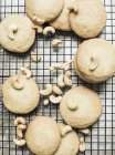 Top view of cookies cooling on rack with cashew nuts — Stock Photo