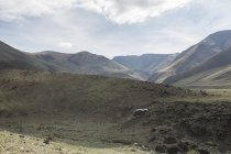 Geländewagen, die steile Hänge hinauf fahren, Altai-Gebirge, Chowd, Mongolei — Stockfoto