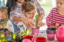 Mulher adulta média ajudando crianças pequenas com atividade de jardinagem — Fotografia de Stock