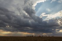 Vue panoramique, Arusha, Tanzanie, Afrique — Photo de stock