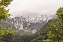Landscape view of forested valley and mountains, Mozirje, Brezovica, Slovenia — Stock Photo