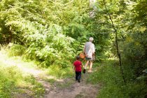 Дідусь і онук полюють на грибів у лісі, Приведінца, Банска Бістріца, Словаччина — стокове фото
