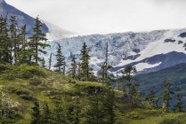 Vue panoramique, baie Prince William, Whittier, Alaska, États-Unis, Amérique du Nord — Photo de stock