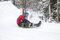 Hombre e hijo tobogganing colina abajo en el bosque cubierto de nieve - foto de stock
