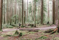 Vista lateral da mulher correndo na floresta, Vancouver, Canadá — Fotografia de Stock