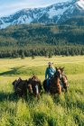 Adolescente menant quatre chevaux par la montagne enneigée, Entreprise, Oregon, États-Unis, Amérique du Nord — Photo de stock