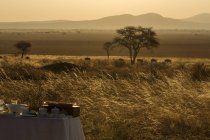 Tarangire nationalpark, tansania, afrika — Stockfoto