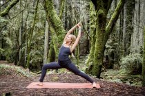 Mujer joven practicando yoga en el bosque - foto de stock