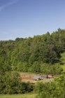 Польовий пейзаж курячих котлет на органічній фермі вільного асортименту — стокове фото