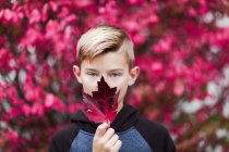 Retrato de menino segurando folha sobre boca — Fotografia de Stock