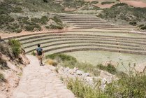 Uomo alla scoperta delle rovine di Moray a Maras, Cusco, Perù, Sud America — Foto stock