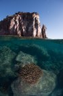 Isla Espiritu Santo, La Paz, Baja California Sur, Messico — Foto stock