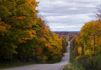 Tree lined road, Autumn, Harbor Springs, Michigan, Estados Unidos, América do Norte — Fotografia de Stock
