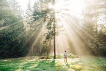 Людина стоїть, дивлячись на сонячне світло, що світить крізь дерева, задній вид, Бейнбридж, Вашингтон, США. — стокове фото