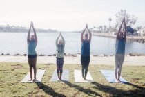 Alunas praticando ioga pose de montanha ao lado do lago no campo de esportes da escola — Fotografia de Stock