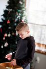 Boy holding decoration with Christmas tree at background — Stock Photo
