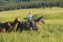 Adolescente chica liderando cuatro caballos en el prado - foto de stock