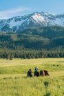 Teenage girl leading four horses by snow capped mountain, Enterprise, Oregon, United States, North America — Stock Photo