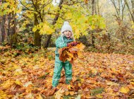 Menina brincando com folhas de outono — Fotografia de Stock