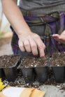 Vista recortada de la mujer plantando semillas de sandía en bandejas de semillas - foto de stock
