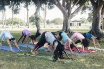 Studenti che praticano yoga verso il basso posa cane sul campo sportivo della scuola — Foto stock