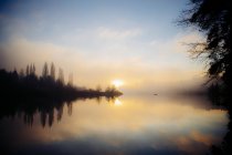 Reflexão de árvores na água ao pôr do sol, Bainbridge, Washington, Estados Unidos da América — Fotografia de Stock