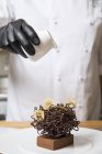 Шеф-повар вылил сливки на украшение шоколадного гнезда тортом — стоковое фото