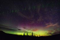 Aurores boréales, arc auroral, parc provincial Nickel Plate, Penticton, Colombie-Britannique, Canada — Photo de stock