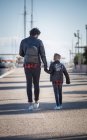 Батько і син ходять, тримаючи руки на відкритому повітрі — стокове фото