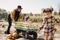 Mother and daughters playing together in pumpkin patch, young girl being pulled along in cart — Stock Photo