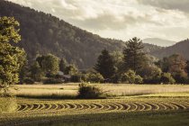 Vista paisagem de campos de vale e floresta, Mozirje, Brezovica, Eslovénia — Fotografia de Stock