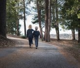 Garçons marchant sur la route à travers les bois, Lac Arrowhead, Californie, États-Unis — Photo de stock
