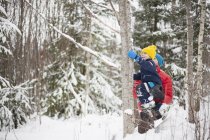 Hombre ayudando a su hijo a subir al árbol en el bosque cubierto de nieve - foto de stock