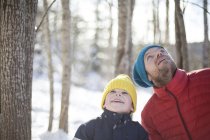 Homem e filho olhando para cima da floresta de inverno — Fotografia de Stock
