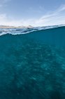 Подводный и надводный вид на школу плавания рыб-домкратов в синем море, Нижняя Калифорния, Мексика — стоковое фото