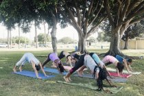 Studenti che praticano yoga verso il basso posa cane sul campo sportivo della scuola — Foto stock