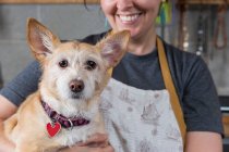 Fabricante de jóias segurando cão de estimação, na oficina, seção meados — Fotografia de Stock